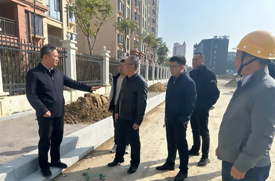 青山湖區(qū)黨委副書記、區(qū)長楊育星到利民路項目調(diào)研